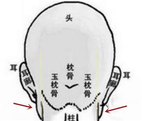 耳後見腮面相|[面相秘诀]脑后反骨、耳后见腮的福与祸